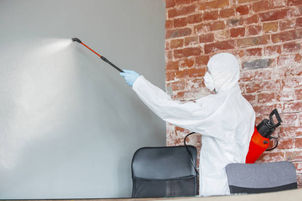 Best Dehumidification Services  in Preston Heights, IL