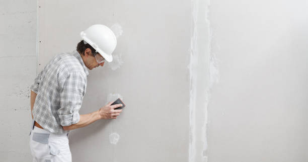 Best Water Damage & Mold Remediation  in Preston Heights, IL