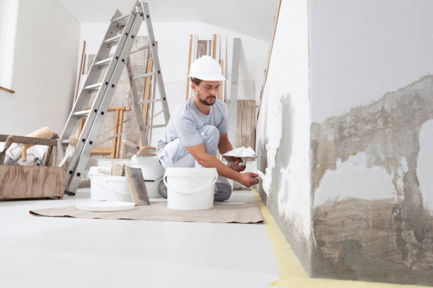 Best Mold Removal for HVAC Installations  in Preston Heights, IL