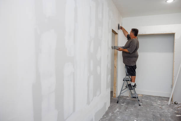 Best Comprehensive Air Testing for Mold Contaminants  in Preston Heights, IL
