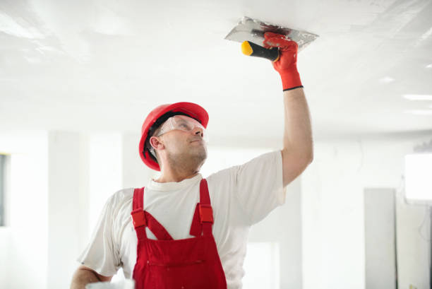 Best Real Estate Mold Inspection  in Preston Heights, IL