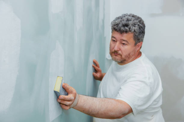 Best Basement Mold Removal  in Preston Heights, IL