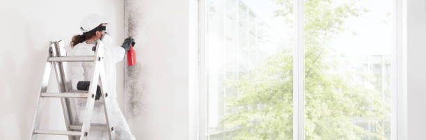 Best Indoor Air Quality Assessment  in Preston Heights, IL