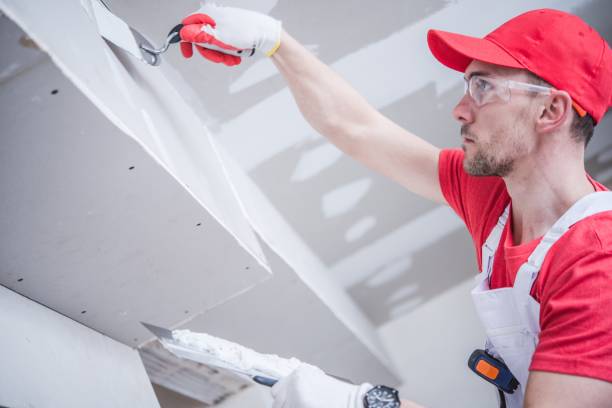 Best Industrial Mold Remediation  in Preston Heights, IL
