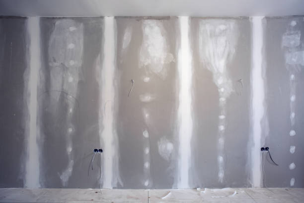 Best Water Damage & Mold Remediation  in Preston Heights, IL